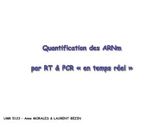 Quantification des ARNm par RT &amp; PCR « en temps réel »