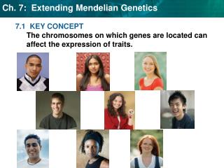 7.1 KEY CONCEPT The chromosomes on which genes are located can affect the expression of traits.