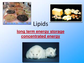 Lipids