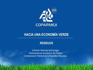 HACIA UNA ECONOMÍA VERDE