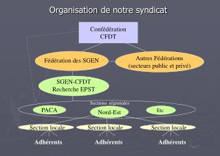 Organisation de notre syndicat