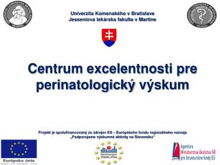 Centrum excelentnosti pre perinatologický výskum