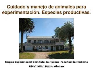 Cuidado y manejo de animales para experimentación. Especies productivas.
