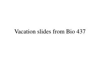 Vacation slides from Bio 437