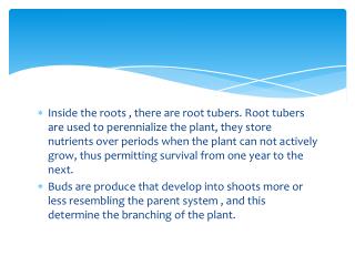 Plant Scientists