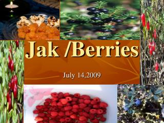 Jak /Berries