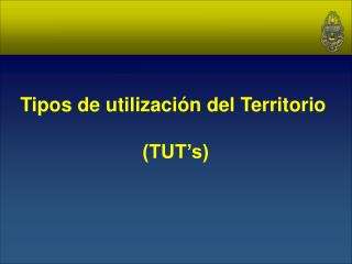 Tipos de utilización del Territorio (TUT’s)