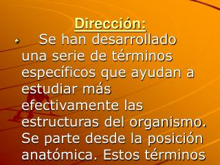 Dirección: