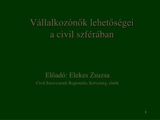 Vállalkozónők lehetőségei a civil szférában