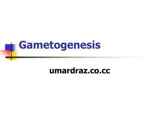 Gametogenesis