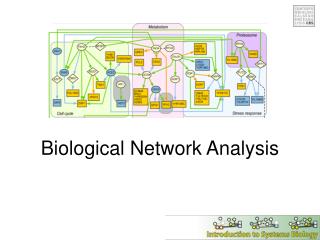 Biological Network Analysis