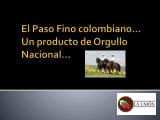 El Paso Fino colombiano… Un producto de Orgullo Nacional…
