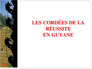 LES CORD ÉES DE LA RÉUSSITE EN GUYANE