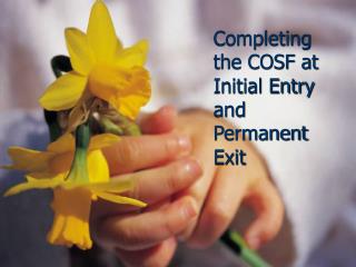Completing the COSF at Initial Entry and Permanent Exit