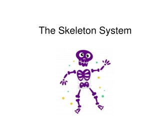 The Skeleton System