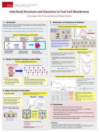 Interfacial Structure and Dynamics in Fuel Cell Membranes