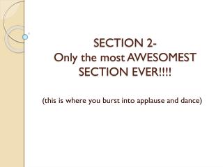 SECTION 2- Only the most AWESOMEST SECTION EVER!!!!