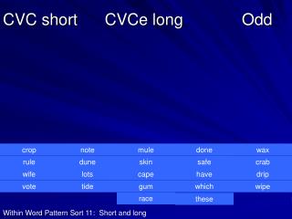 CVC short CVCe long Odd