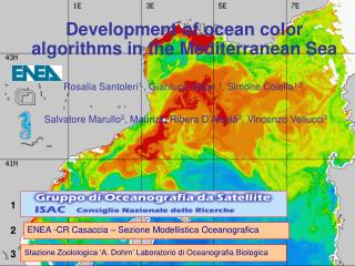 Development of ocean color algorithms in the Mediterranean Sea