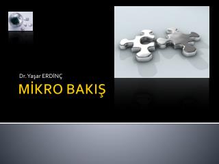 MİKRO BAKIŞ