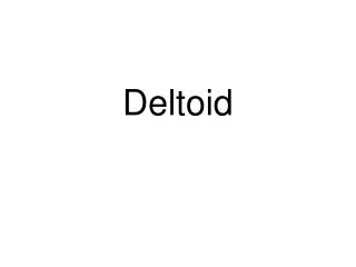 Deltoid