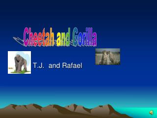 T.J.	and Rafael
