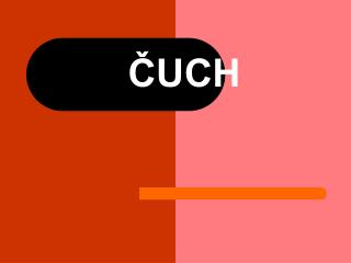 ČUCH
