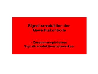 Signaltransduktion der Gewichtskontrolle - Zusammenspiel eines Signaltransduktionsnetzwerkes-