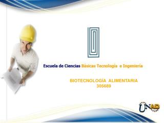 BIOTECNOLOGÍA ALIMENTARIA 305689