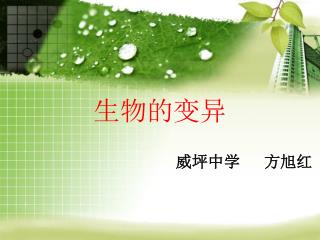 生物的变异