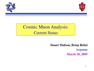 Cosmic Muon Analysis: Current Status