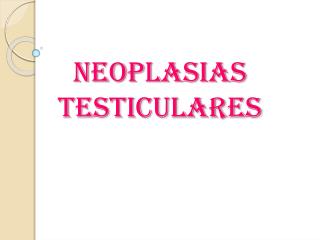 Neoplasias Testiculares