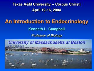 Texas A&amp;M University -- Corpus Christi April 12-16, 2004 An Introduction to Endocrinology Kenneth L. Campbell Profes
