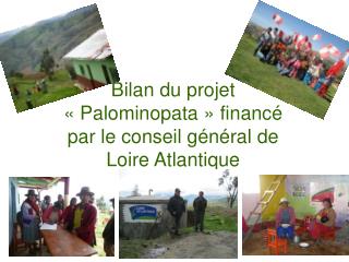 Bilan du projet « Palominopata » financé par le conseil général de Loire Atlantique