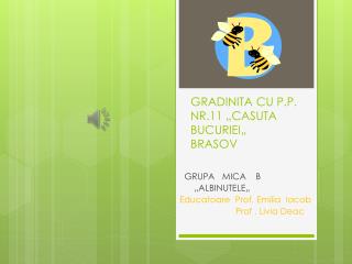 GRADINITA CU P.P. NR.11 „CASUTA BUCURIEI„ BRASOV