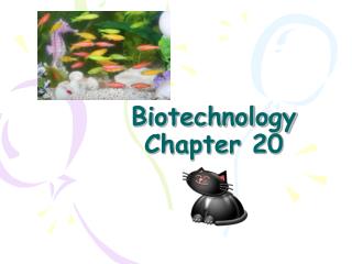 Biotechnology Chapter 20