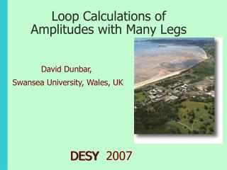 Loop Calculations of Amplitudes with Many Legs