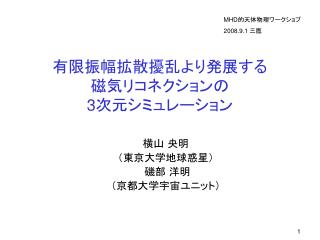 有限振幅拡散擾乱より発展する 磁気リコネクションの 3 次元シミュレーション