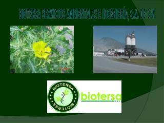 BIOTERSA SERVICIOS AMBIENTALES E INGENIERÍA, S.A. DE C.V.