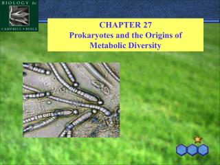 CHAPTER 27 Prokaryotes and the Origins of Metabolic Diversity