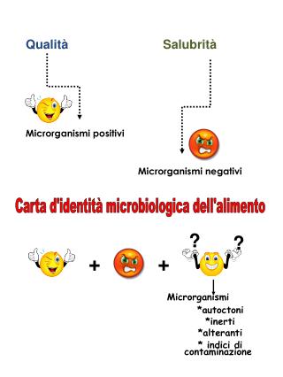 Carta d'identità microbiologica dell'alimento