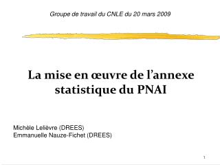 La mise en œuvre de l’annexe statistique du PNAI