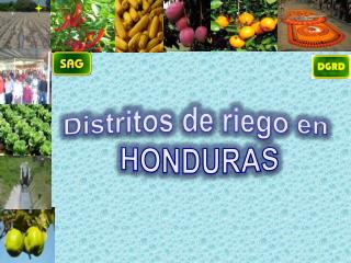 Distritos de riego en HONDURAS