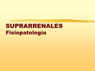 SUPRARRENALES Fisiopatología