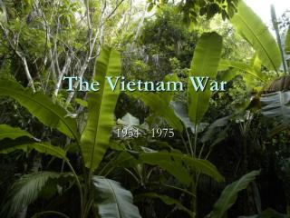 The Vietnam War