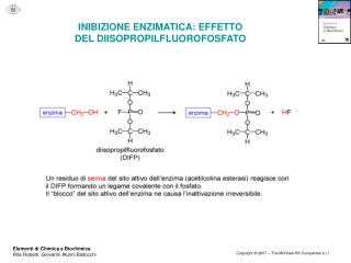INIBIZIONE ENZIMATICA: EFFETTO DEL DIISOPROPILFLUOROFOSFATO
