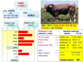 SSI = 121,1, rang ml SI = 9,5, IN =8,1 N ml SI = 357 IN 8600