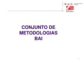 CONJUNTO DE METODOLOGIAS BAI