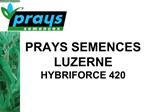 PRAYS SEMENCES LUZERNE HYBRIFORCE 420