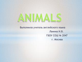 ANIMALS